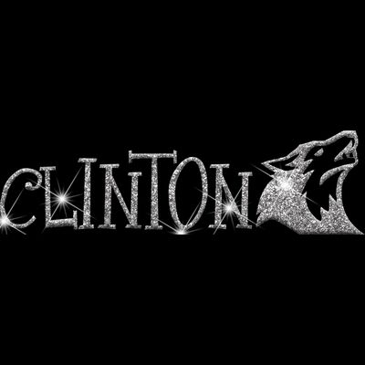 GLT56 SILVER GLITTER Thumbnail