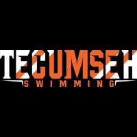 TEC  339C SW Thumbnail