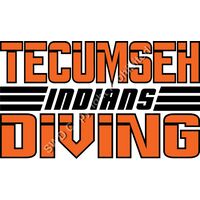 TEC  246C DV Thumbnail