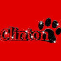 GLT17 BLACK GLITTER Thumbnail